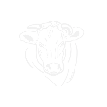 Photo Empreinte Charollaise