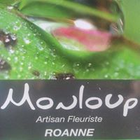 Photo Monloup - Roanne - avenue de Paris